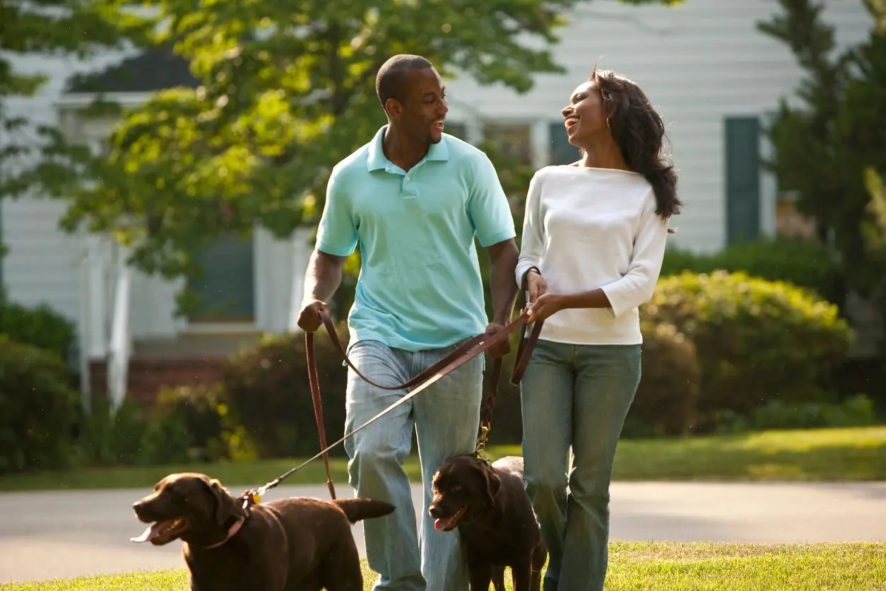 A man and woman walking their dogs in the grass.